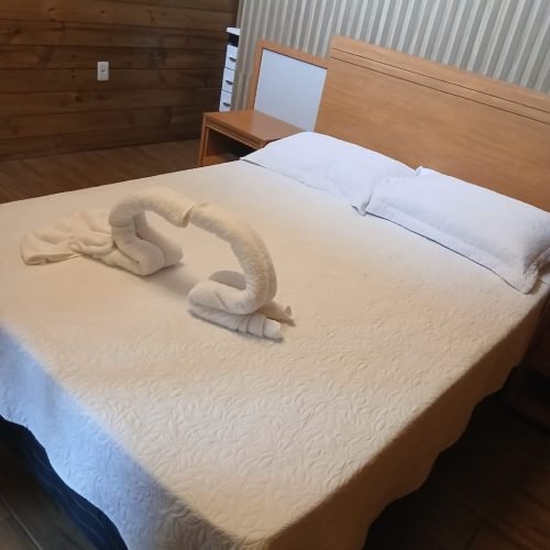 WhatsApp Image 2026-02-16 at 20.45.49